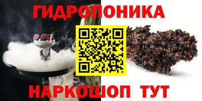 ГАЛЛЮЦИНОГЕННЫЕ ГРИБЫ Новозыбков