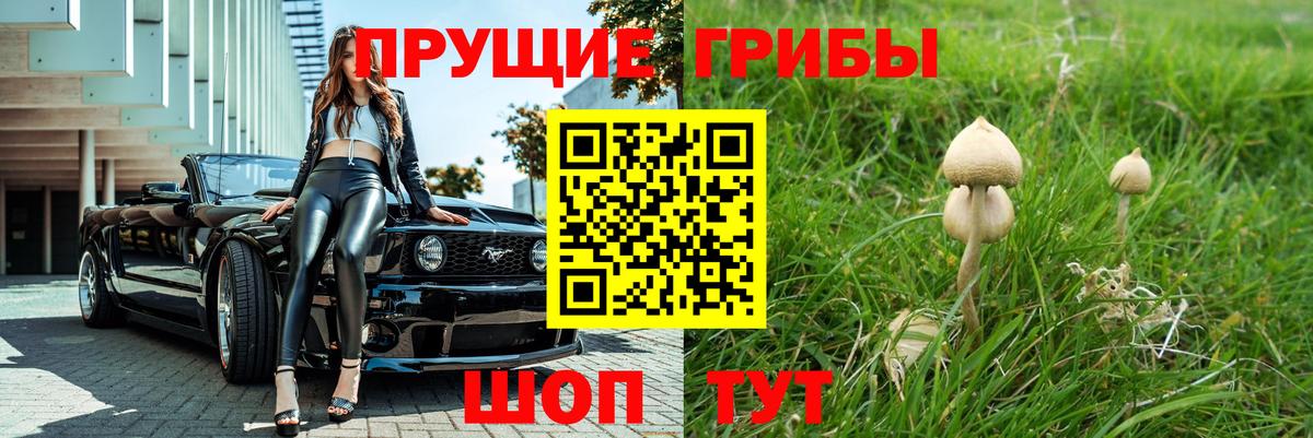Псилоцибиновые грибы прущие грибы Шелехов